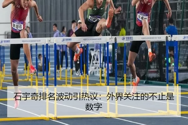 石宇奇排名波动引热议：外界关注的不止是数字