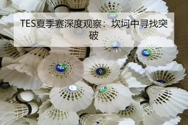 TES夏季赛深度观察：坎坷中寻找突破（8868.com）